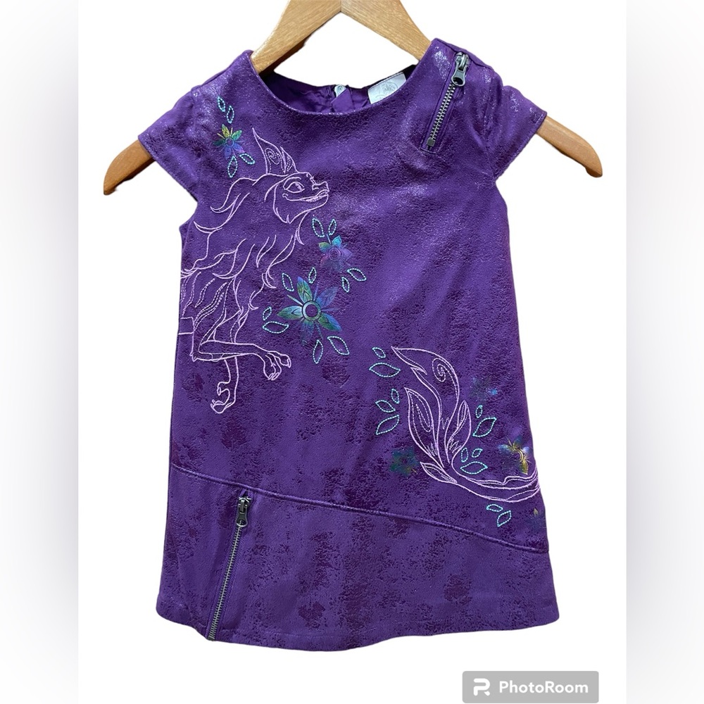 Disney Raya Last Dragon Shirt Dress in size 4T